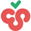 Cherry Studio